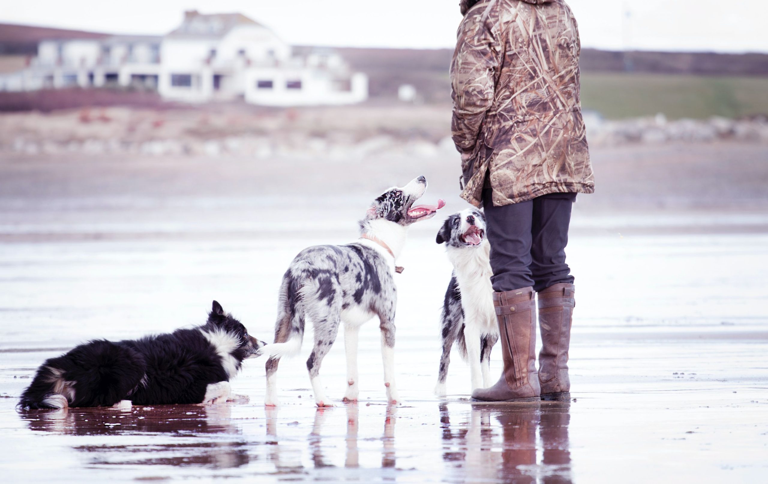 pexels-dominika-roseclay-1076122