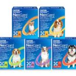 images - 2025-09-24T145040.277