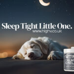 CALMING DOG TREATS UK